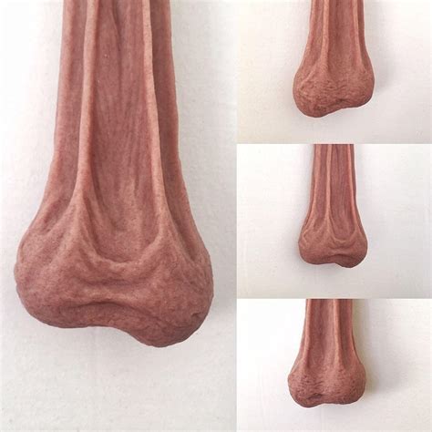 cock picture|File:Large human penis.jpg